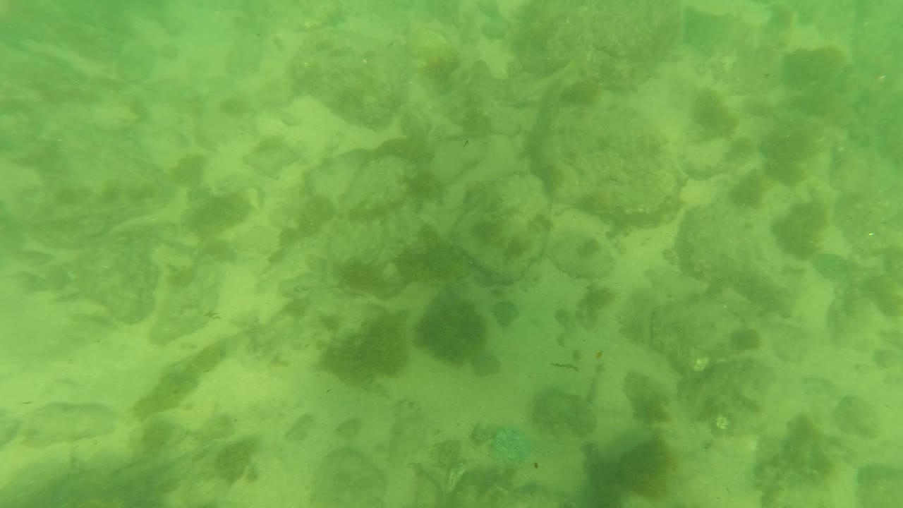 Fourth frame of the Los Barriles underwater scene, with broad rounded rocks, algae-covered areas, green water haze, and no visible people.