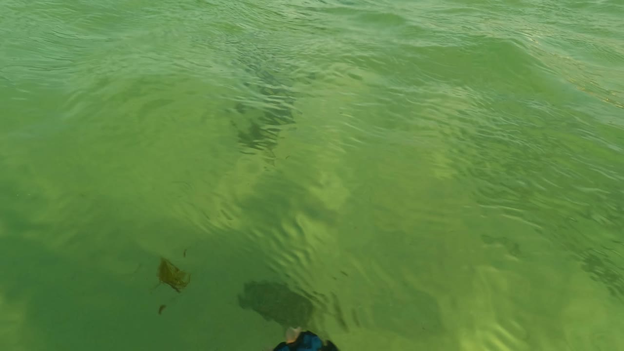 The view lowers toward the green water surface near Los Barriles, showing ripples, a faint submerged shape, and no visible people.