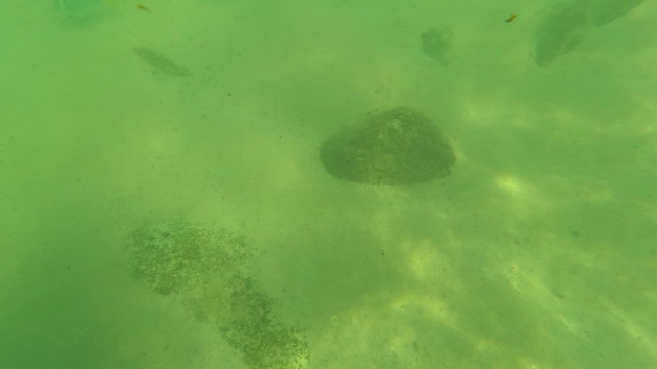 Underwater sandy seabed with rocks in green water