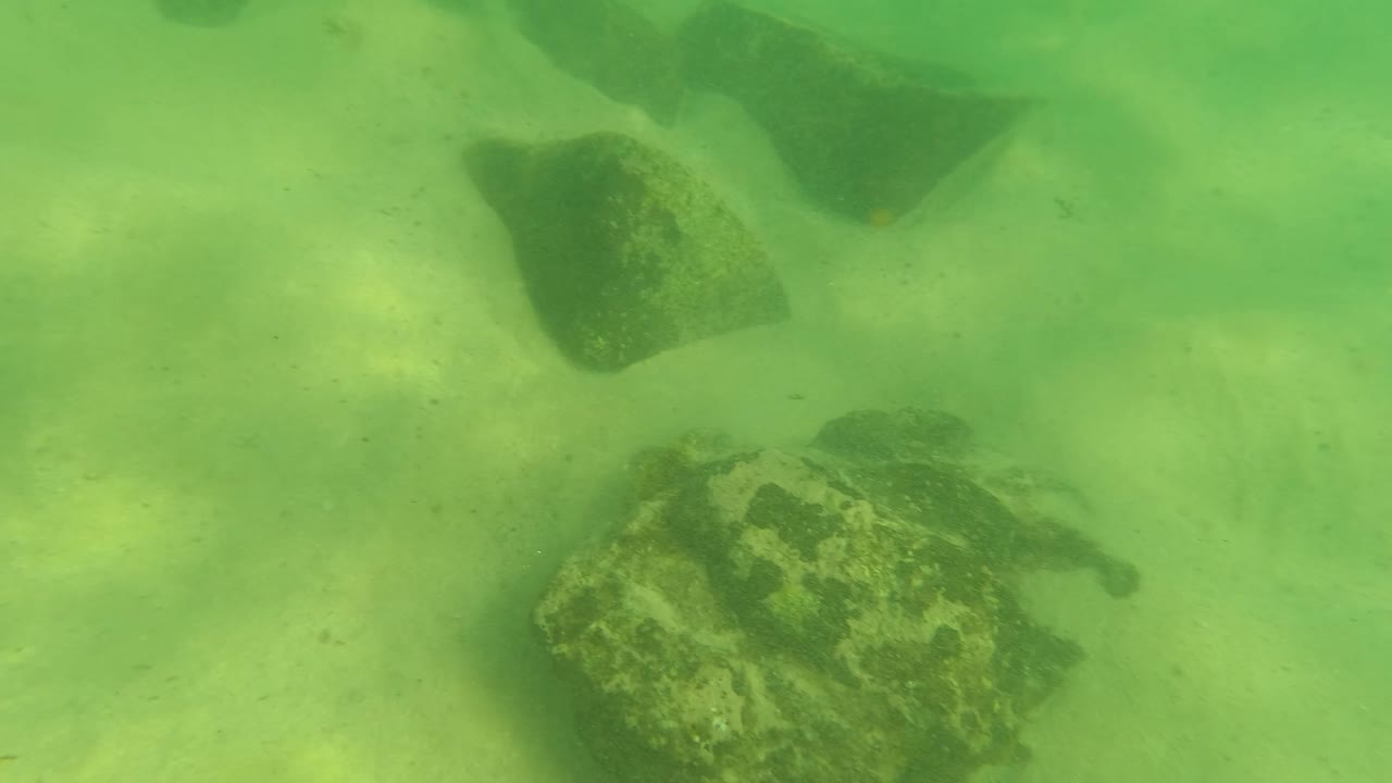 Opening underwater frame in Los Barriles, Baja California Sur, Mexico, showing green water over a sandy seabed with several dark rocks and no visible people.
