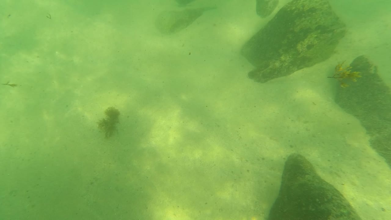 Early underwater frame in Los Barriles showing a green-tinted sandy bottom with rocks receding from view and no visible people.