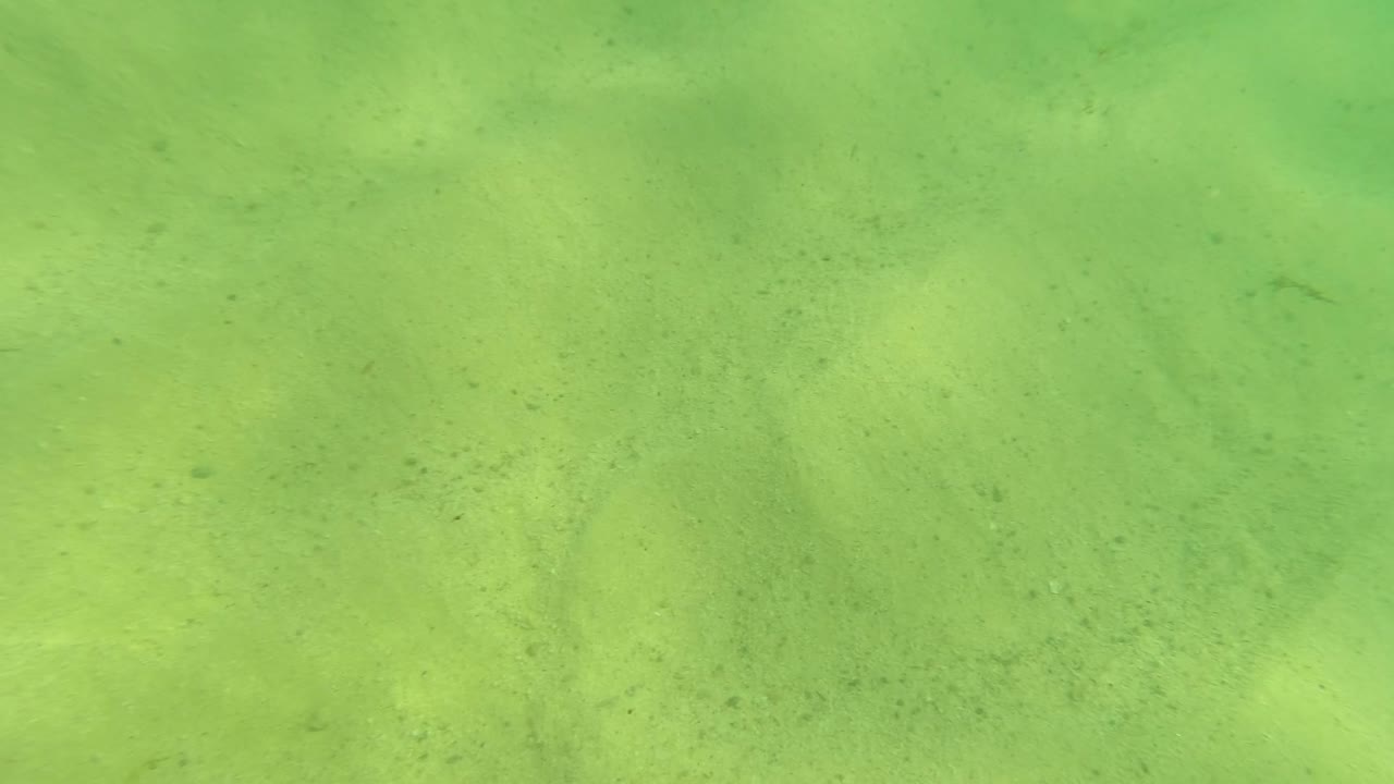Mid-early frame in Los Barriles with pale sand, green water, a few remaining dark rocks, small algae patches, and no visible people.