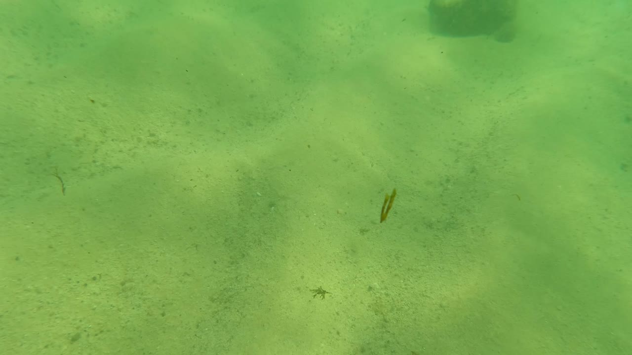 Green underwater view in Los Barriles, Baja California Sur, showing pale sandy seabed, a few dark rocks near the top of frame, and no visible people.