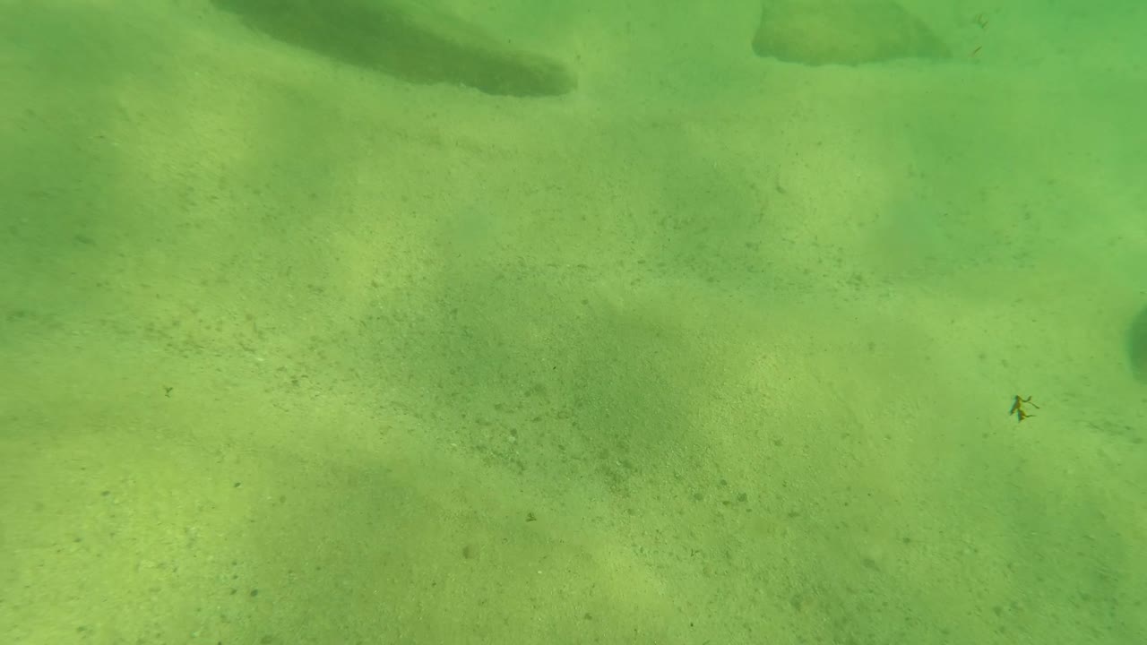 Los Barriles underwater seabed frame with green water, pale sand, dark rocks near the top, a small dark fish-like shape at right, and no visible people.