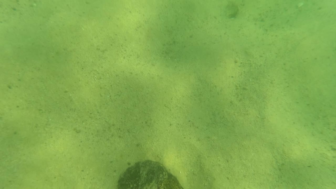 Green underwater sandy seabed with scattered rocks