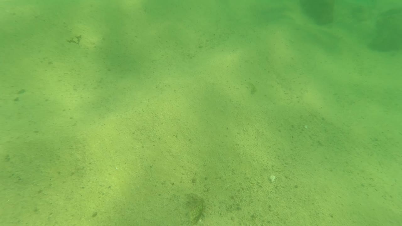 Low underwater frame in Los Barriles showing pale sand, dark rocks near the lower edge, suspended green water, and no visible people.