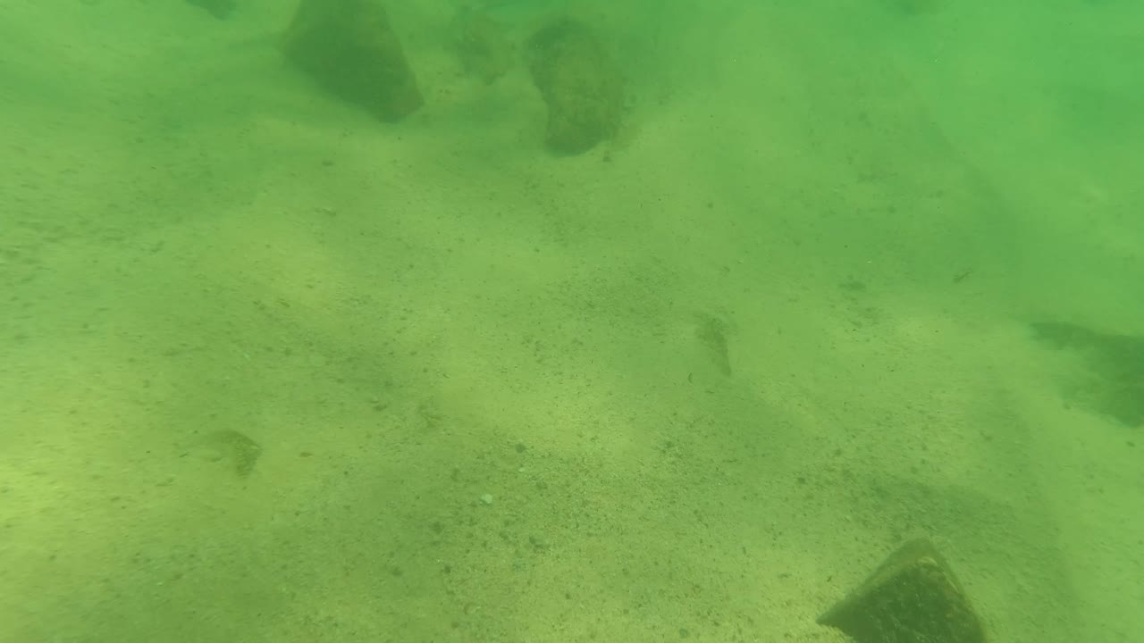 Underwater Los Barriles seabed with a broad sandy floor, scattered rocks, faint fish shapes in the green midwater, and no visible people.