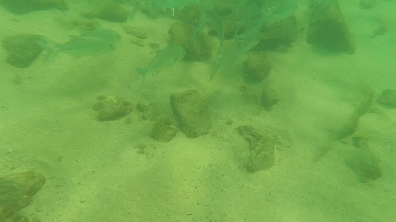 At 0:00 in Los Barriles, Baja California Sur, Mexico, green-tinted clear water shows a sandy rocky bottom with a small fish near the upper left and no visible people.
