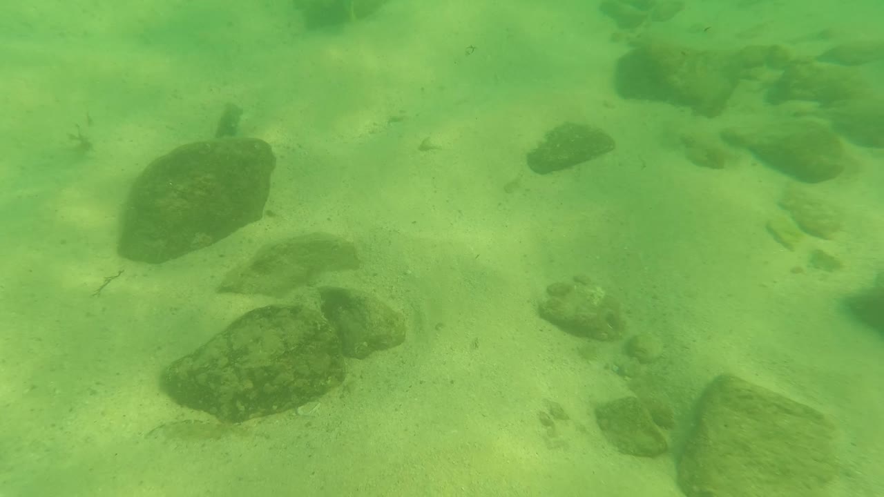 At 0:02 in Los Barriles, Baja California Sur, Mexico, a small fish appears near the upper mid-right rocks while the sandy bottom remains visible and no people are in frame.
