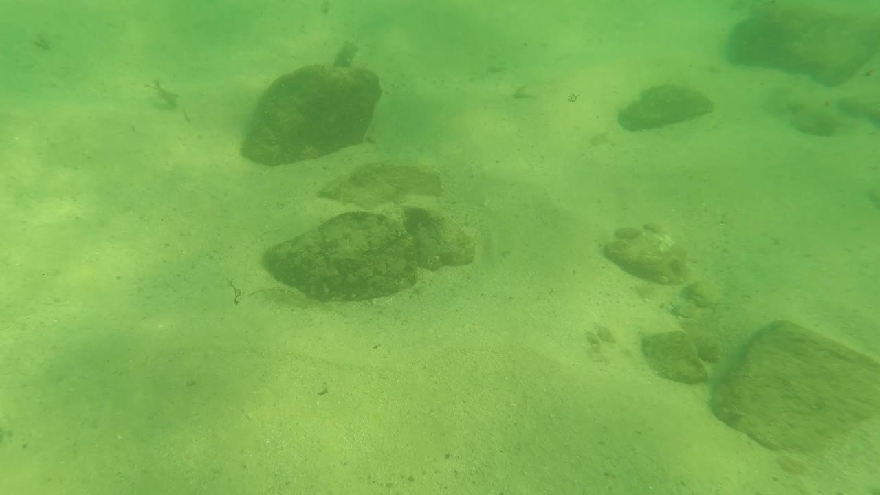 At 0:03 in Los Barriles, Baja California Sur, Mexico, the fish are less prominent as green water, sand, and larger rounded rocks dominate the frame, with no visible people.