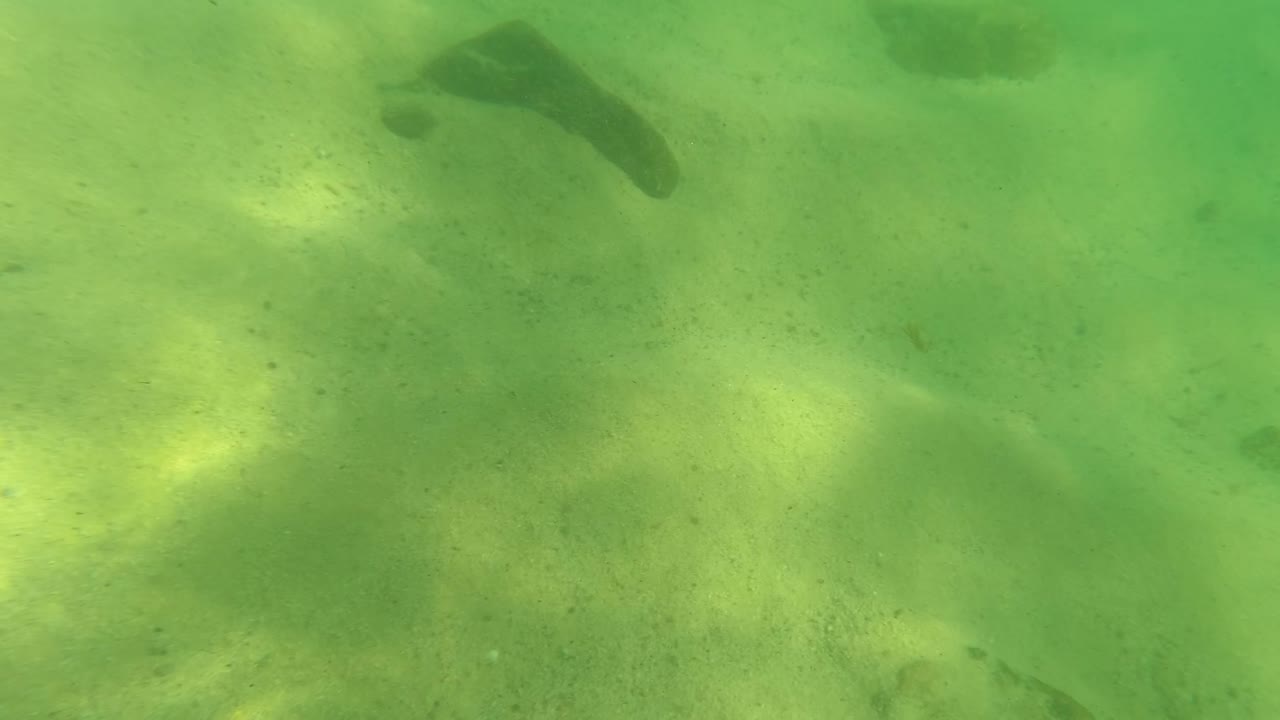 Second underwater frame from Los Barriles, Baja California Sur with fish along the upper frame, pale sand below, soft light patches, and no visible people.