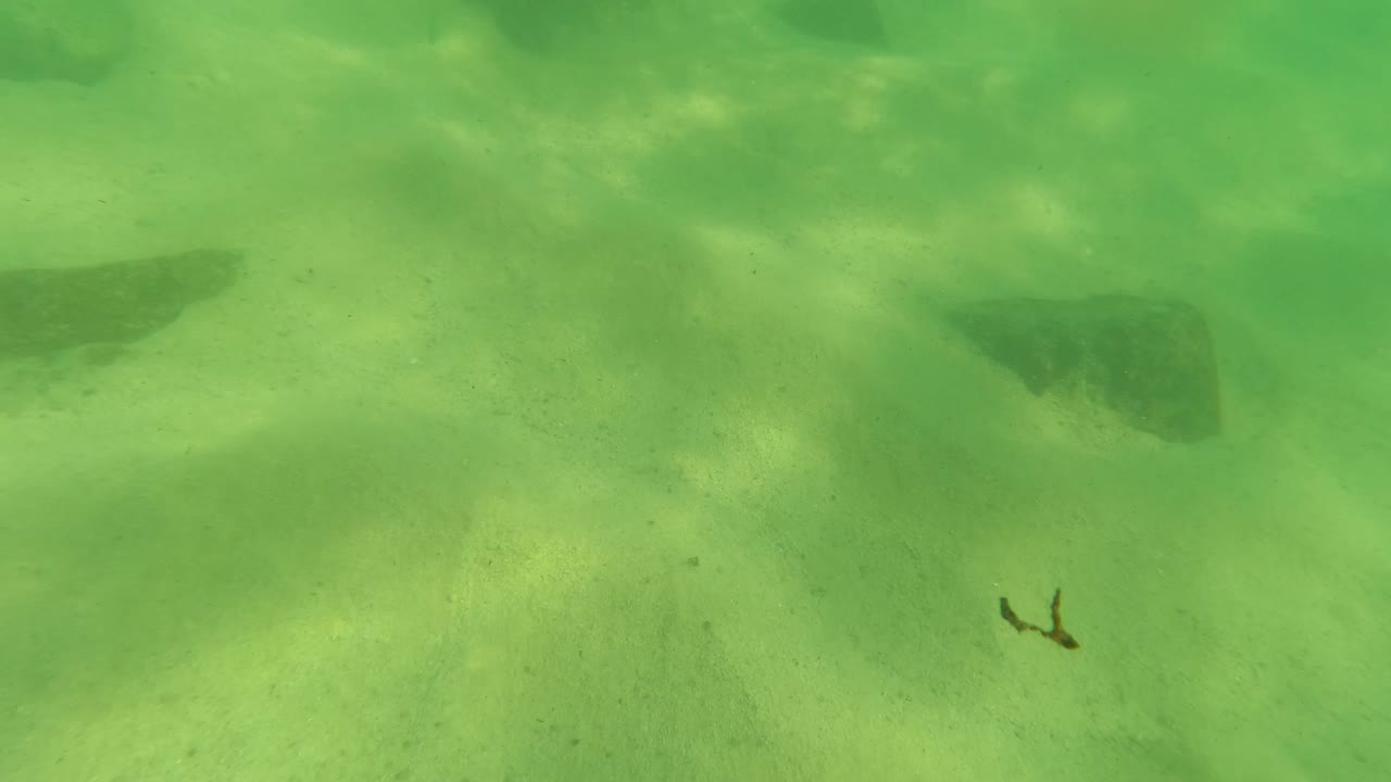 Underwater frame from Los Barriles, Baja California Sur with a fish partly entering from the left, dark rocks across the sand, green water, and no visible people.