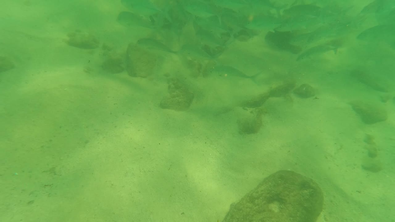 Green-tinted underwater frame in Los Barriles, Baja California Sur showing pale sand, scattered rocks, a few small fish near the top edge, and no visible people.