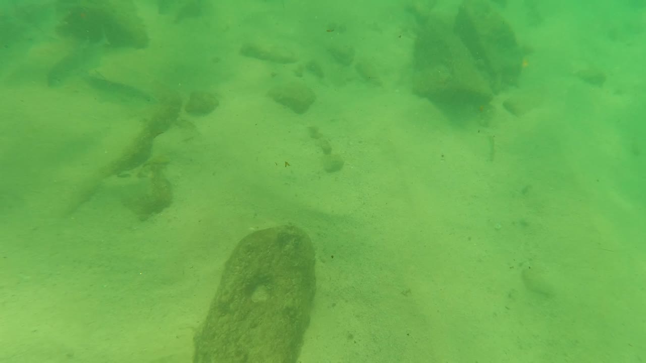 Underwater Los Barriles frame with several small fish crossing above a pale sandy bottom, dark rocks in the foreground and background, and no visible people.