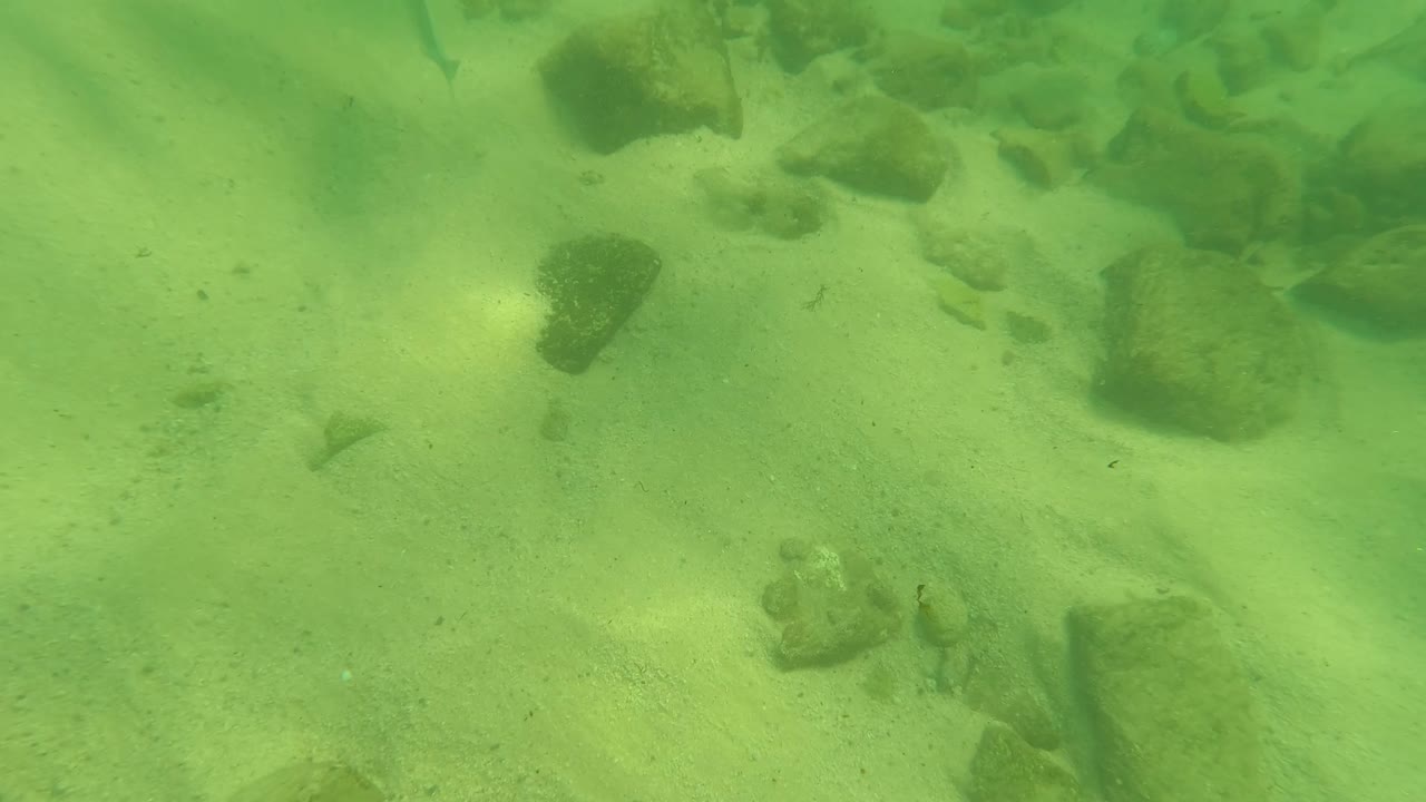 Green underwater view of sandy bottom with scattered rocks