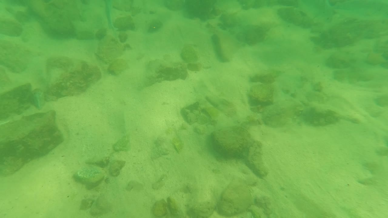 Green underwater view in Los Barriles, Baja California Sur, with sandy bottom, scattered rocks, soft light ripples, and no visible people.