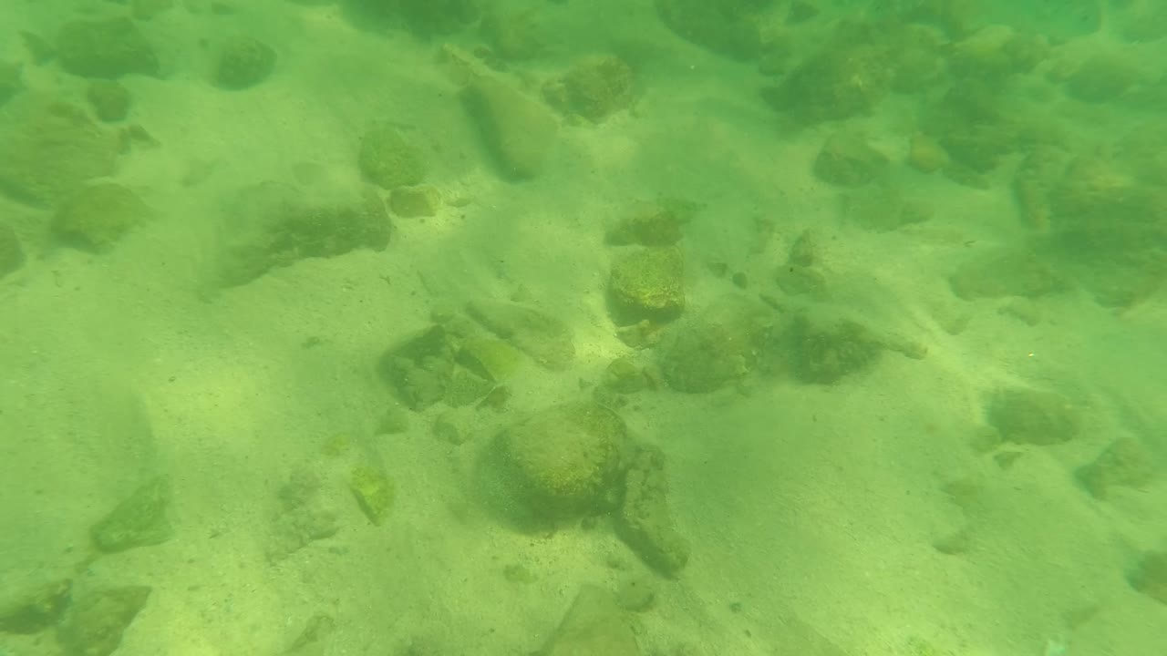 Rocky sandy bottom seen through green water.