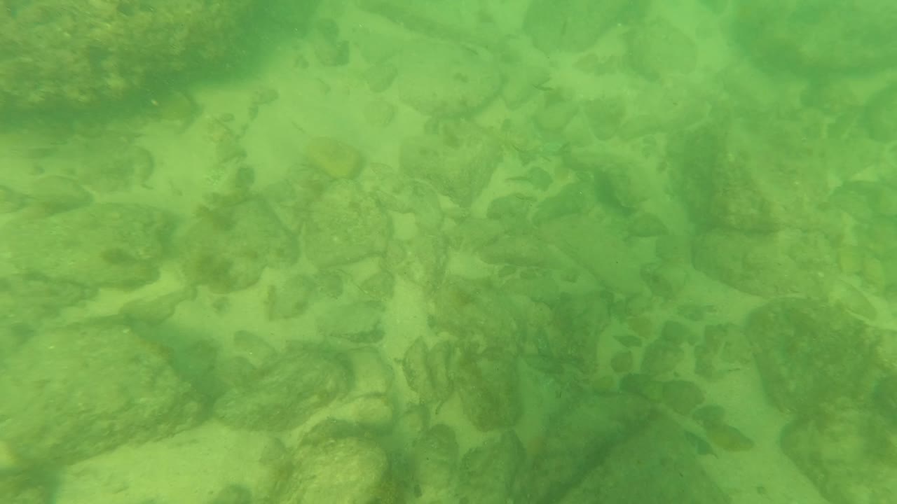 Shallow underwater floor with muted green water and scattered rocks