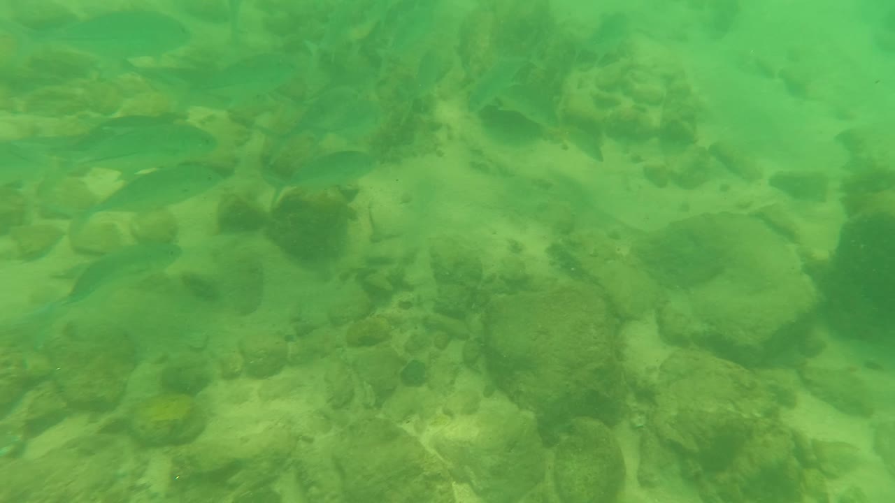 Underwater Los Barriles frame with larger rocks across the midground, pale sand between stones, green water haze, and small fish near the right side, with no visible people.