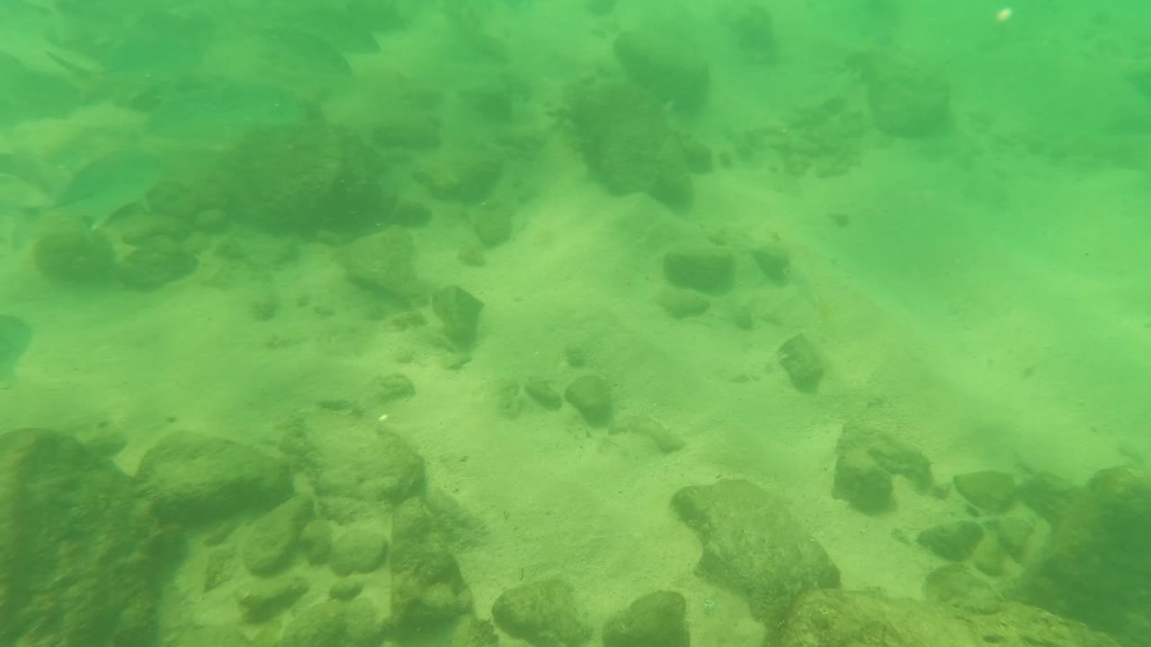 Green underwater view of sand and scattered rocks