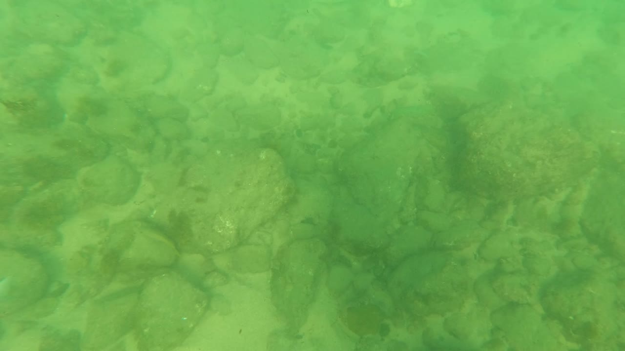 Green underwater view in Los Barriles, Baja California Sur, showing rounded stones and darker rocks across a shallow riverbed with no visible people.