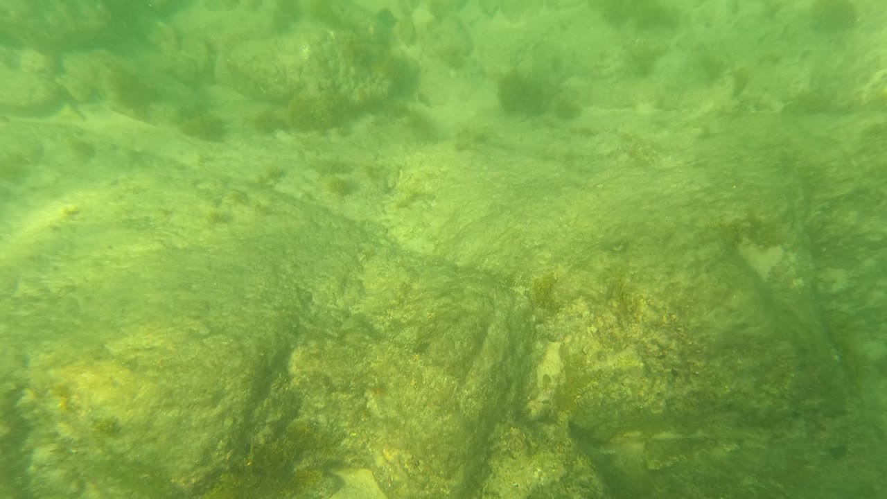Green underwater seabed with rocks, sand, and algae.