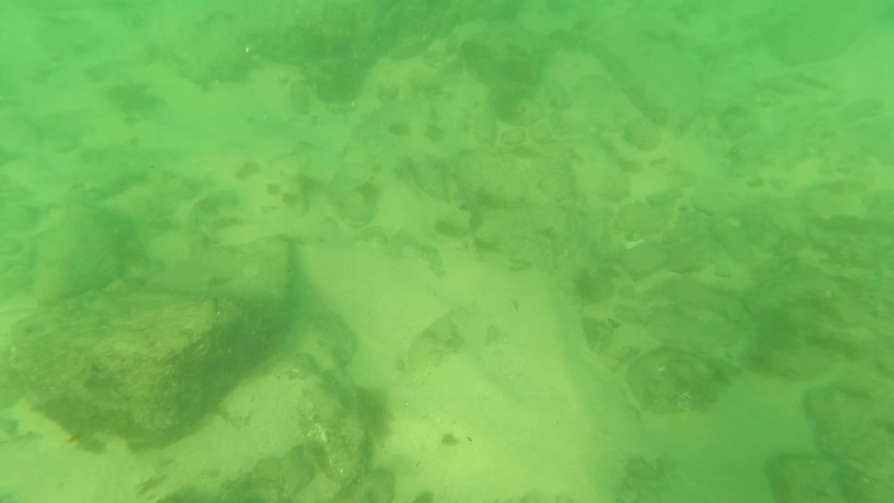 Los Barriles underwater seabed with a softer green cast, scattered rocks, sandy areas, algae growth, and no visible people.