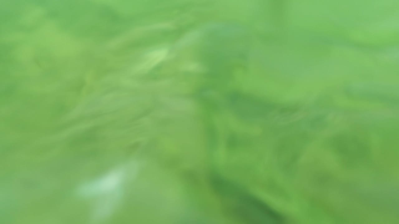 Green underwater view in Los Barriles, Baja California Sur, showing sand, scattered stones, soft surface blur, and no visible people.