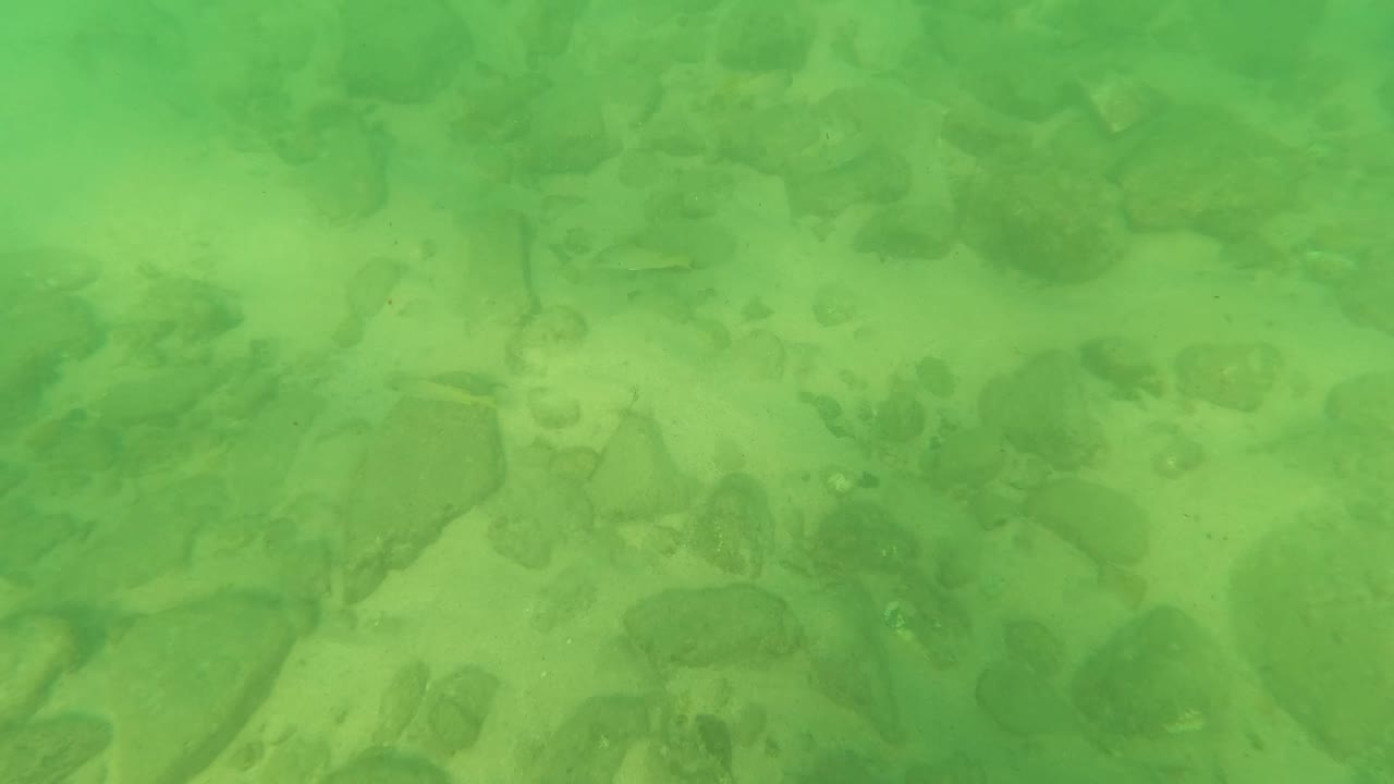 Underwater frame from Los Barriles with a sandy bottom, rounded rocks, green water haze, and no visible people.