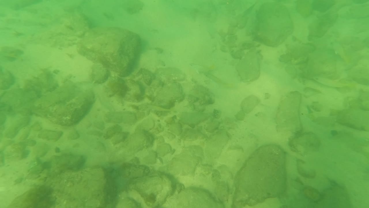 Los Barriles underwater riverbed detail with small stones across pale sand, darker rocks in the background, and no visible people.