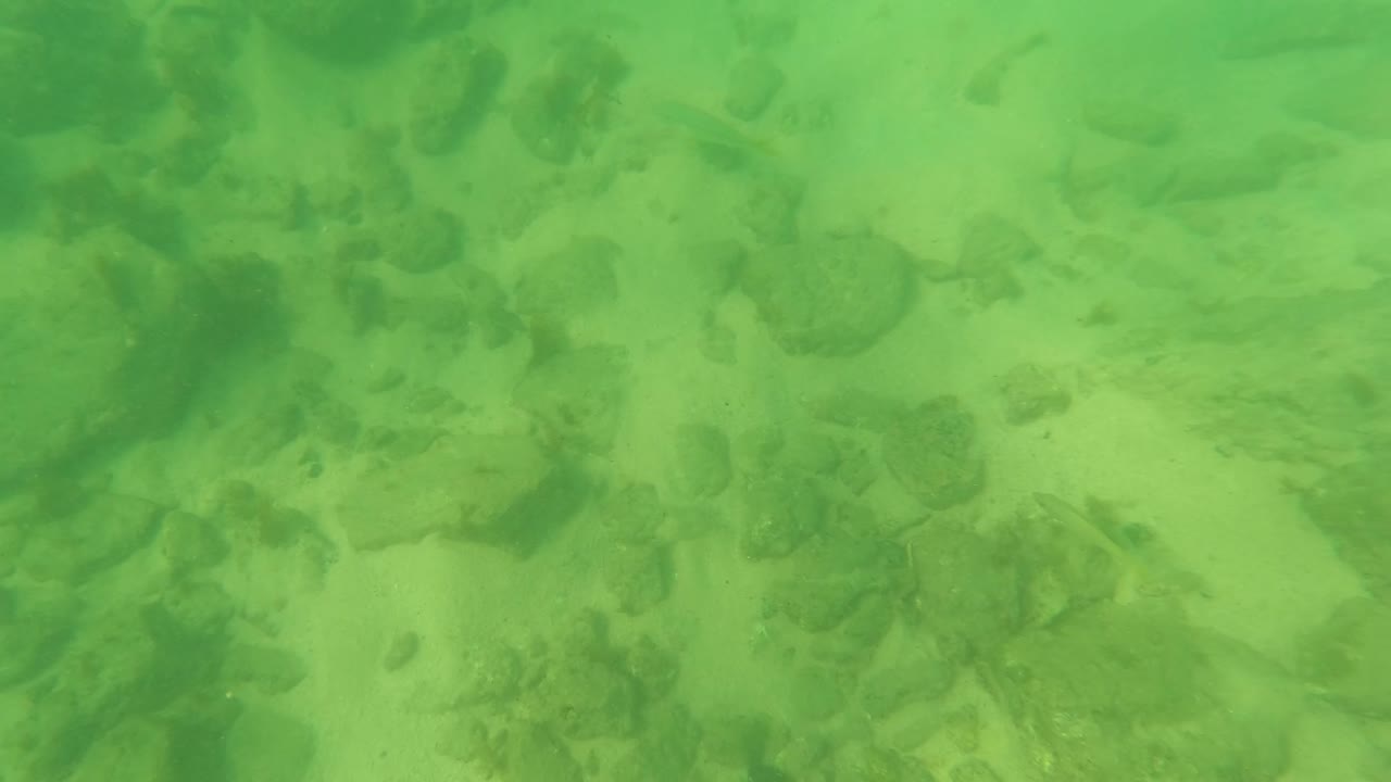Green water over a stony sandy riverbed