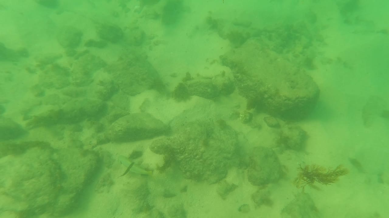 Second frame from Los Barriles shows pale sand, rounded rock clusters, green water haze, a small fish near the lower area, and no visible people.