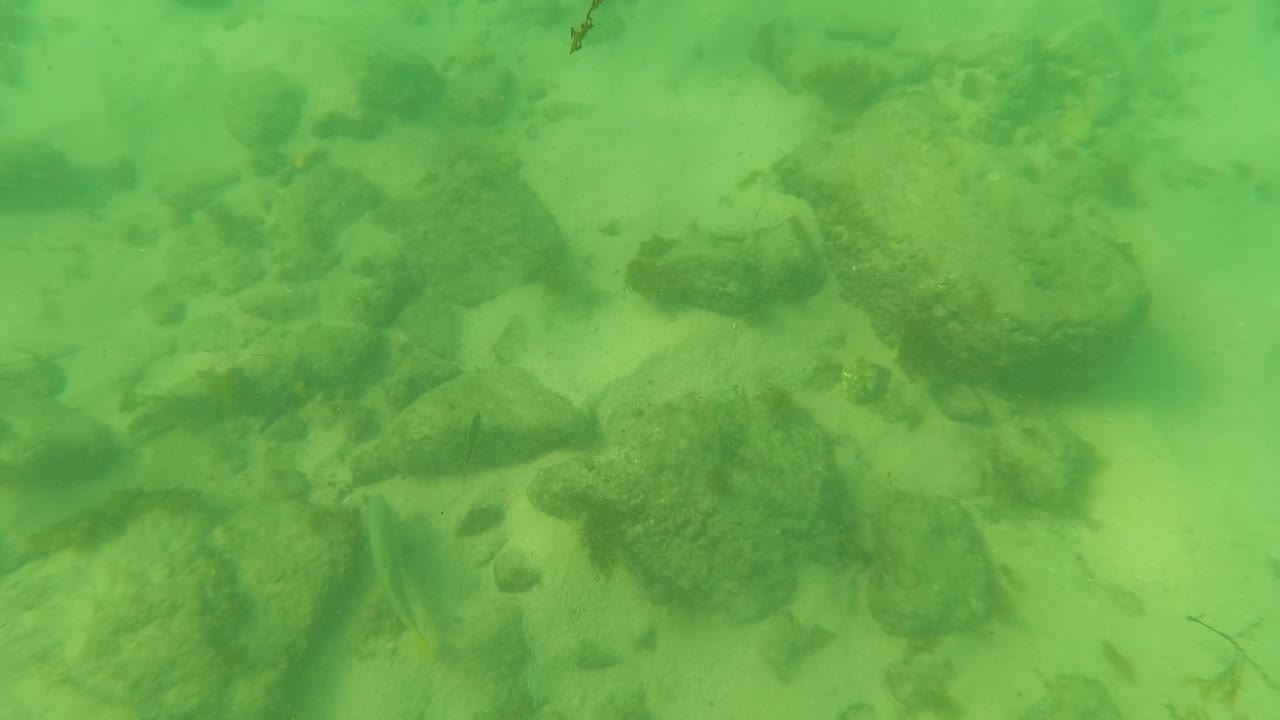 Mid-clip frame in Los Barriles with a darker rock and algae cluster near center, pale sand around it, green-tinted water, and no visible people.