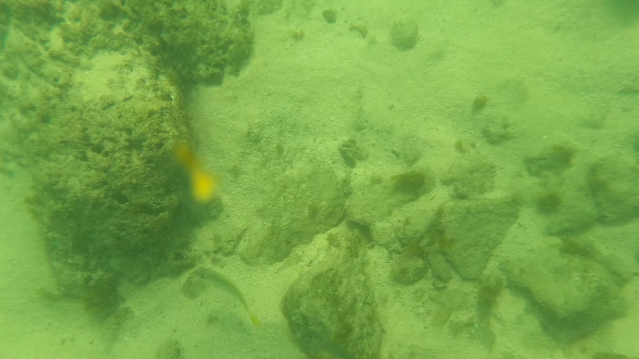 Fourth frame from Los Barriles shows the sandy bottom continuing past larger rocks and darker marine vegetation in green water, with no visible people.