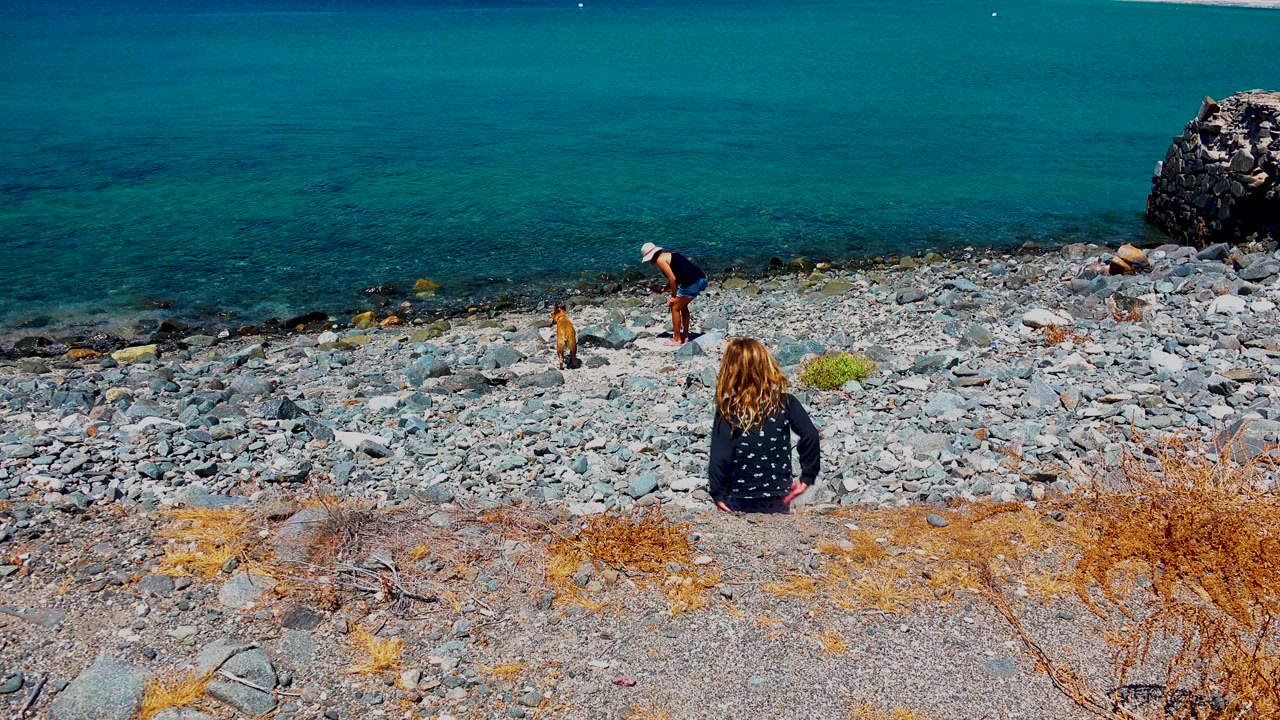 At El Sargento, Mexico, a girl sits on the rocky shore while an adult bends near a tan dog at the edge of clear blue ocean water.