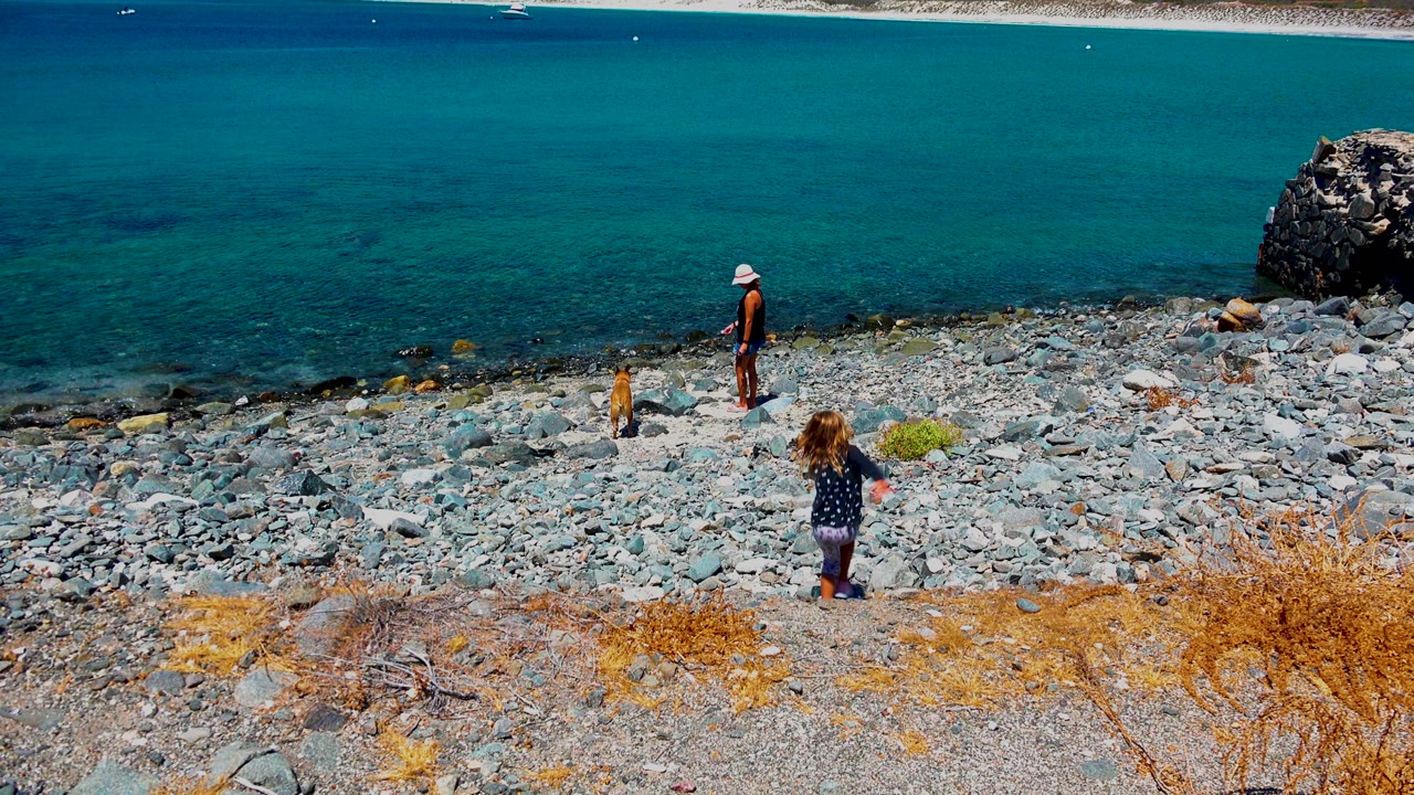 Girl begins walking down rocky shore toward an adult and dog by the ocean.