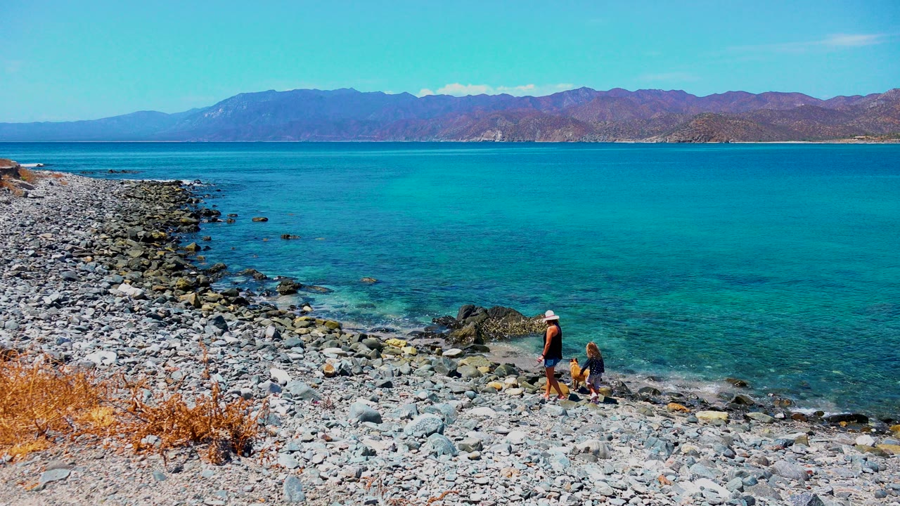 At El Sargento, Mexico, a hat-wearing person and a dog stand on the rocky shoreline below clear blue water and distant mountains.