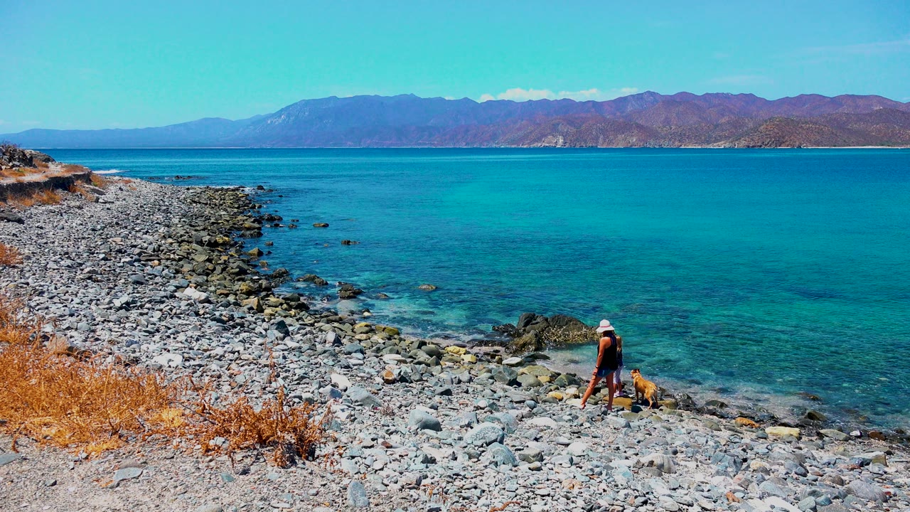 At El Sargento, Mexico, the person and dog appear near the lower right of a wide rocky beach view, with blue-green water filling the center of the frame.