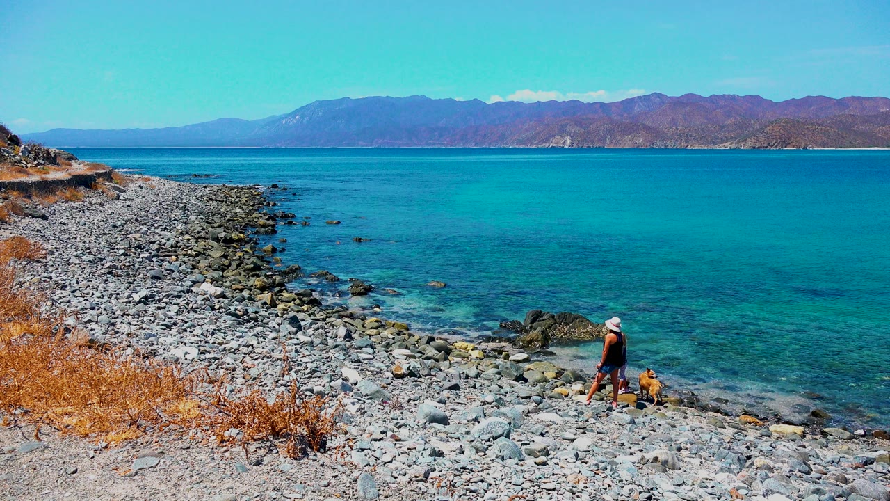 Person and dog near the waterline on a rocky shore with mountains across the sea.