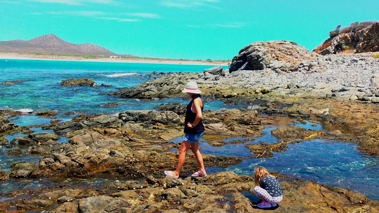 Adult walking on rocks while a child crouches near a tide pool.
