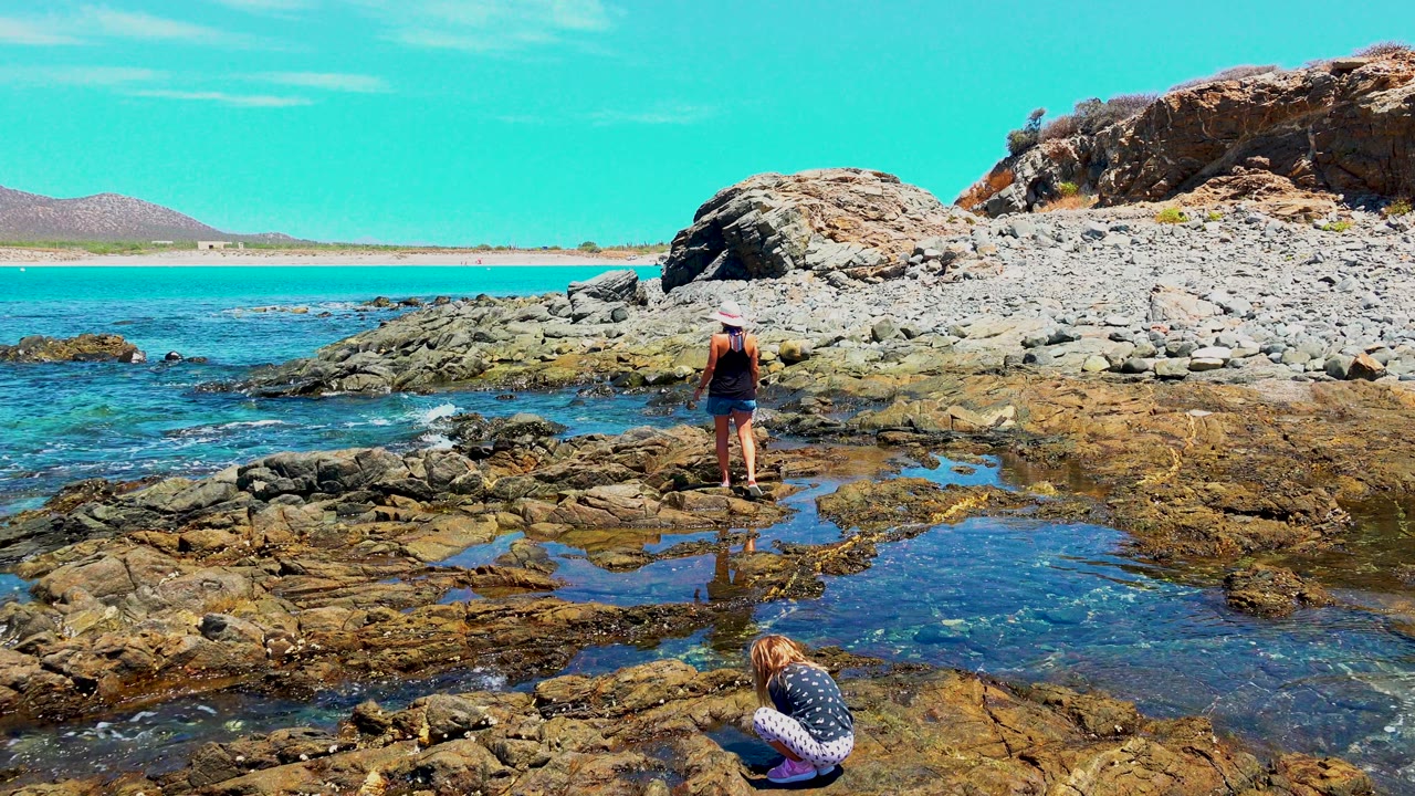 Adult on rocks with child crouched by shallow tide pool in foreground.