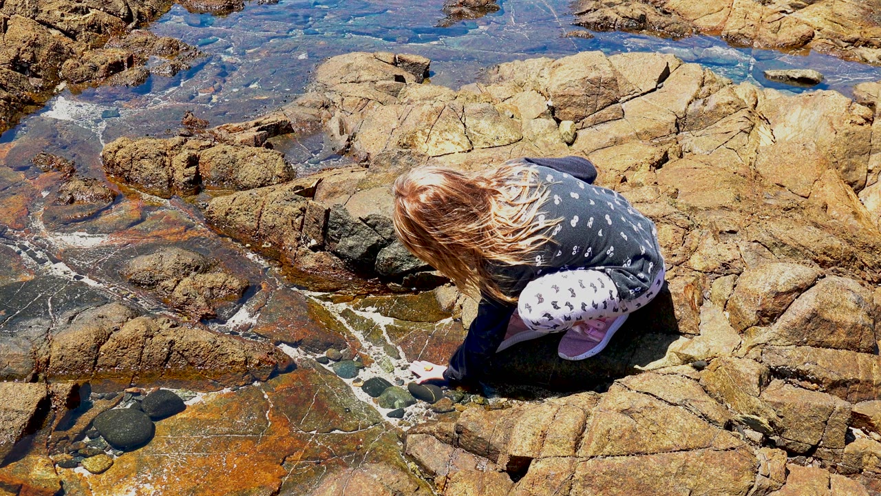 Young girl crouches low on the rocky shore in El Sargento, Mexico, leaning toward a shallow tide pool with blue water and wet tan rocks around her.