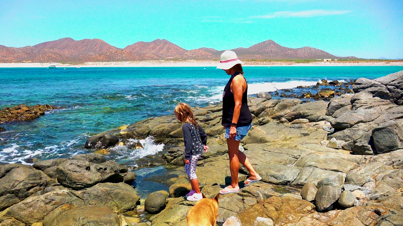 Woman and child on coastal rocks with dog entering foreground.