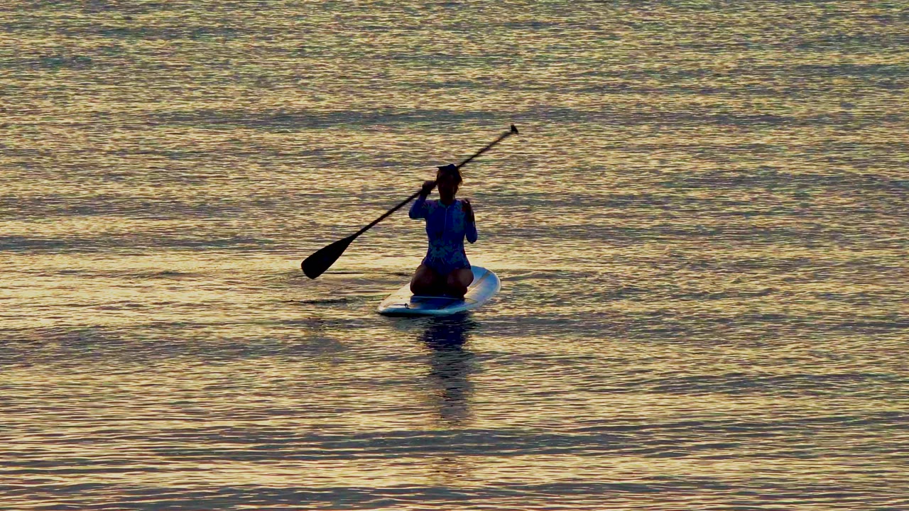 Paddleboarder kneeling and lifting a paddle over calm water.