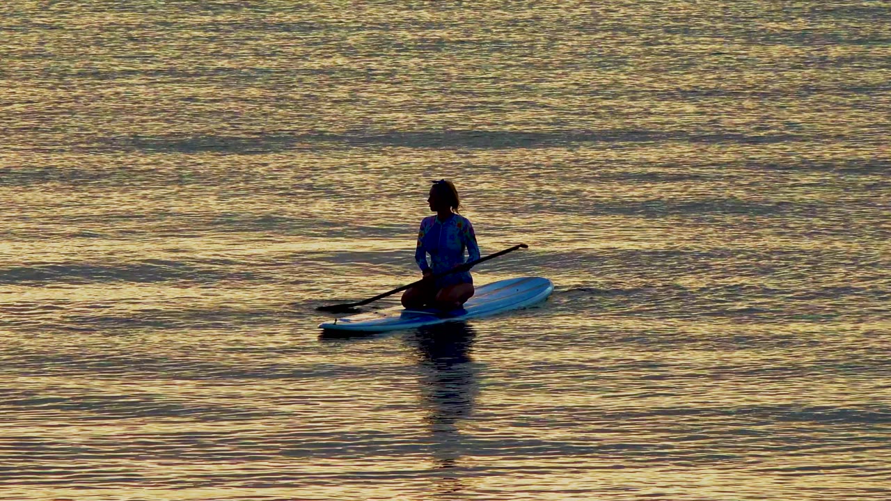 A person on a blue stand-up paddleboard is centered left on golden rippled water in El Sargento, Mexico, with the paddle held low across the board.