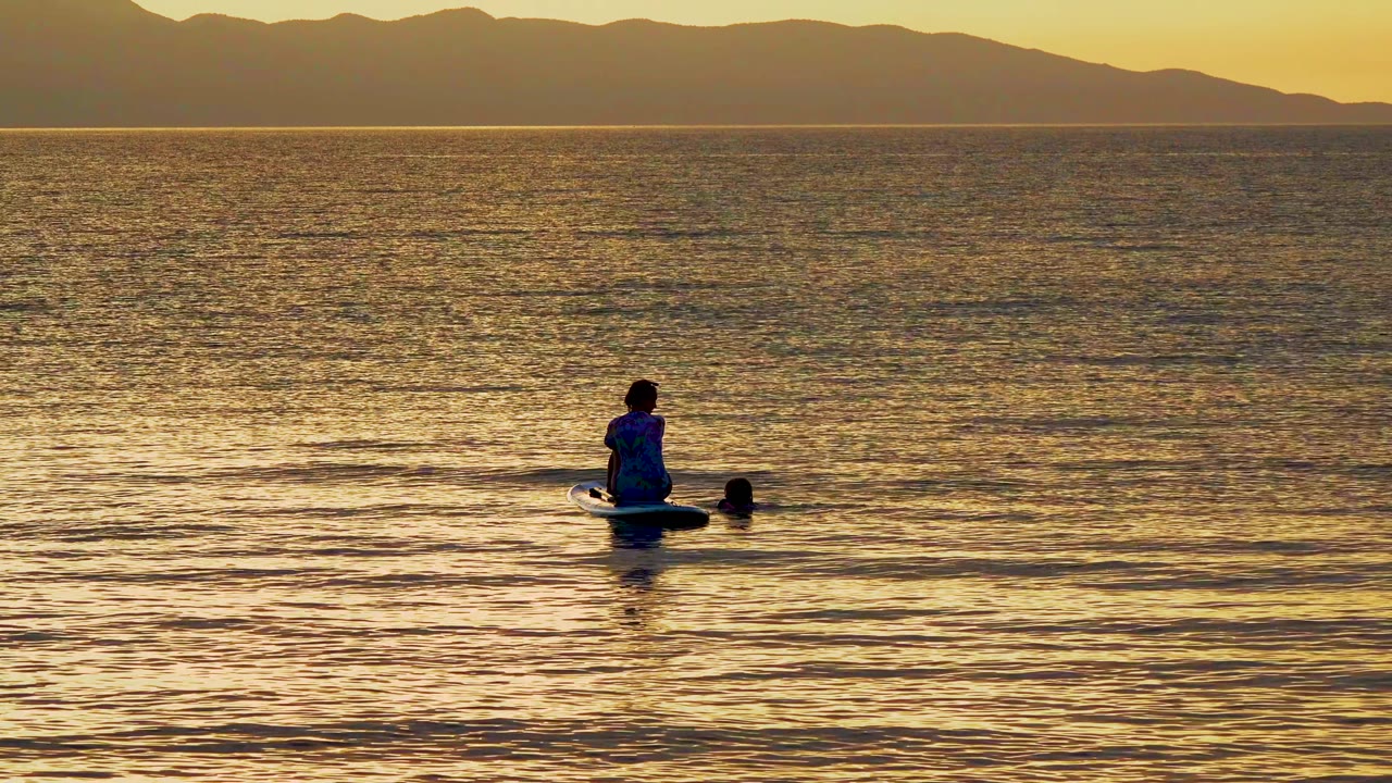 At 0:02 in El Sargento, Mexico, the person on the paddleboard and the dog remain near the waterline while the golden sea texture fills most of the frame.