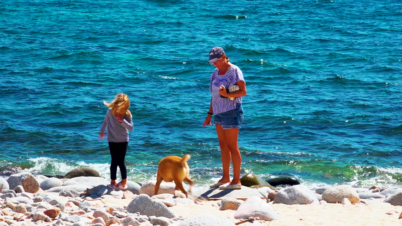 At 0:02 in La Ventana, Mexico, the child faces the water, the tan dog stands near the rocks, and the adult looks down along the shoreline with clear blue ocean behind them.