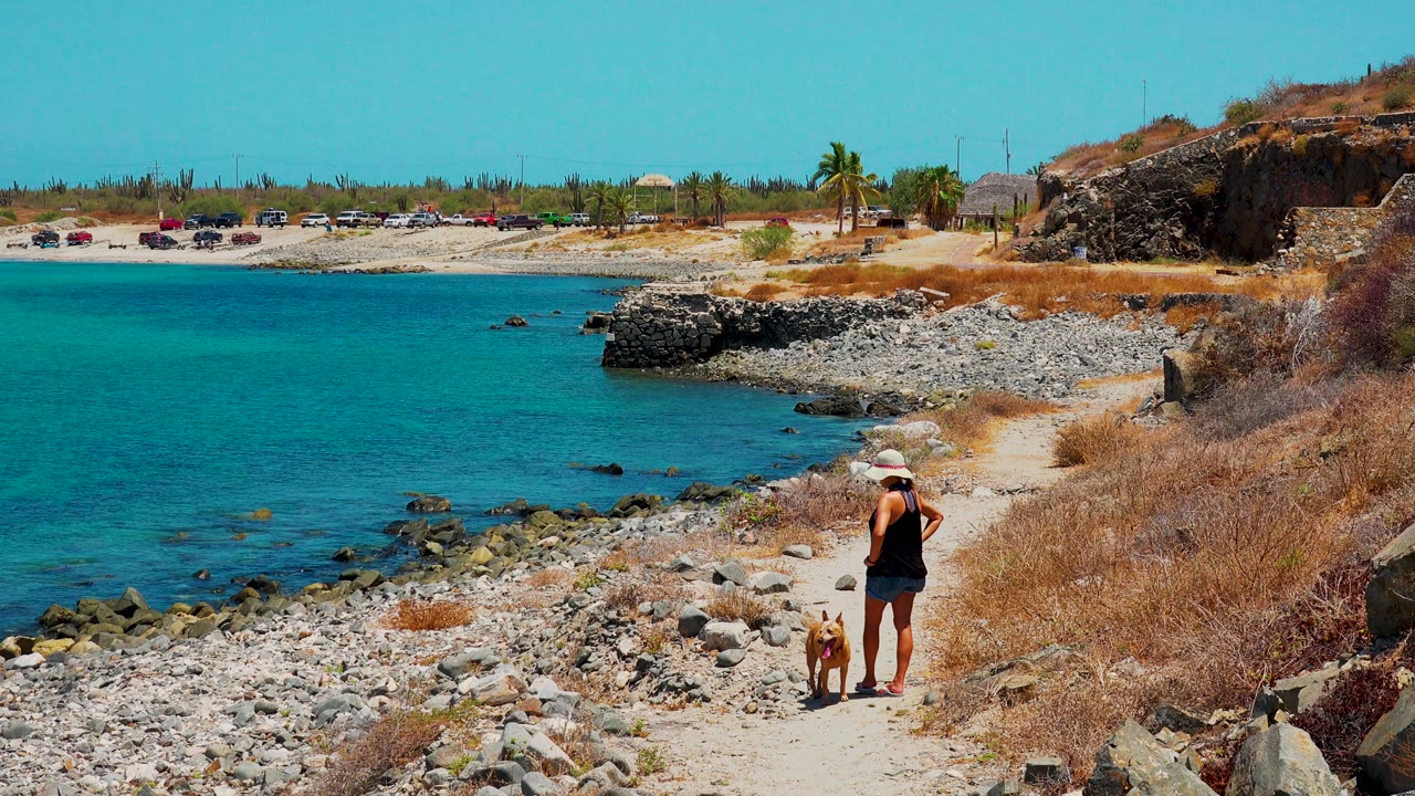At 0:02 in La Ventana, Mexico, the person and tan dog are farther right on the path, framed by dry brush on the hillside side and turquoise water over the rocky beach to the left.