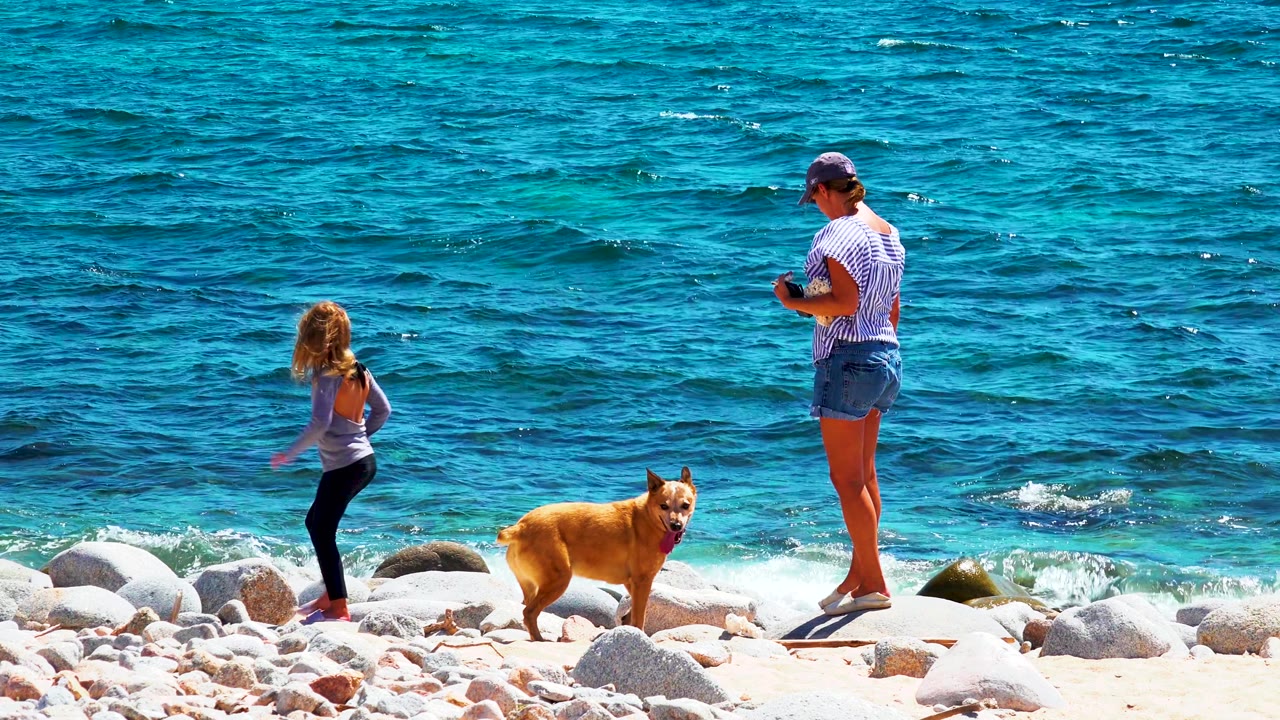 At La Ventana, Mexico, a child stands left, an adult looks down at an object, and a tan dog faces the camera on pale rocks beside turquoise ocean water.