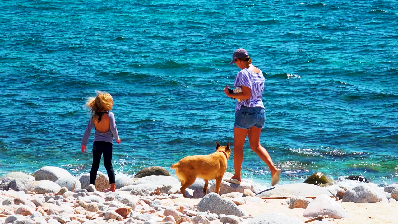 Child and adult walk near a dog on a rocky ocean shore.